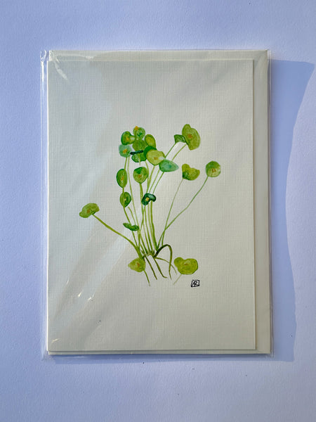 Watercress - Mojave Desert Skin Shield