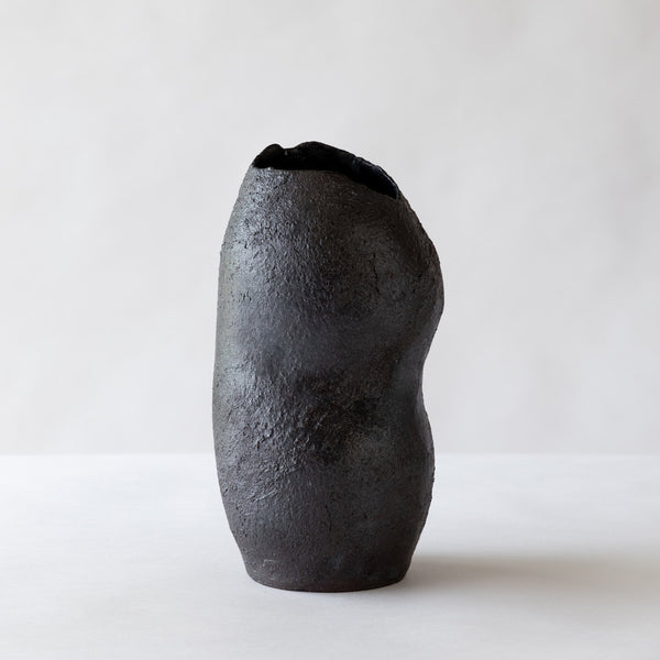Black Lava Vase - Mojave Desert Skin Shield