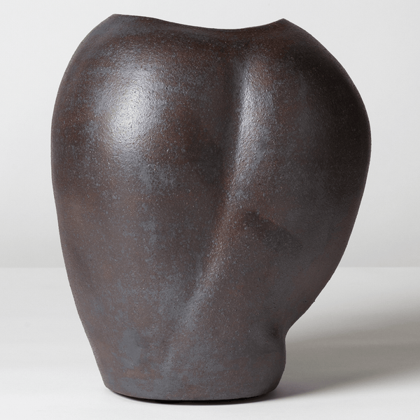 Red Iron Vase II - Mojave Desert Skin Shield